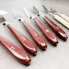 Bay pha màu Palette Knifes- Cây lẻ