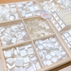 Pan Chiết Màu Lẻ 1 cái