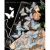 Sticker Hologram Bondless Butterfly