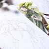 Tranh Tô Màu Vẽ Sẵn - Tranh Vẽ Line Art Tô Màu Nước 300Gsm
