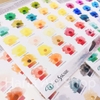 Màu nước Kusakabe Tuýp lẻ 5ml