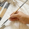 Cọ Vẽ Đầu Tròn Sunway C582