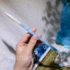 Cọ Vẽ/Bút Lông thư Pháp-