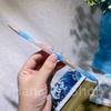 Cọ Vẽ/Bút Lông thư Pháp-