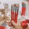 Cọ Vẽ Đầu Bằng Lông Chồn MixMulti Lith Lynna