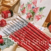 Cọ Vẽ Đầu Tròn Lông Chồn MixMulti Lith Lynna