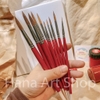 Cọ Vẽ Đầu Tròn Lông Chồn MixMulti Lith Lynna