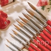 Cọ Vẽ Đầu Tròn Lông Chồn MixMulti Lith Lynna