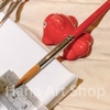 Cọ Vẽ Đầu Tròn Lông Chồn MixMulti Lith Lynna