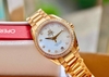 omega-aqua-terra-231-55-39-21-55-001-150m-master-chronometer-red-gold