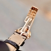 dong-ho-audemars-piguet-edward-piguet-18k-gold-quantieme-perpetuel-moon-phases-r