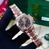 rolex-cosmograph-daytona-40mm-nbsp-a-href-tel-126505-0005-126505-0005-a-everose-