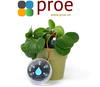 AKX00026 OPLA IOT STARTER KIT
