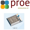 Module Wifi ESP8266 ESP-07