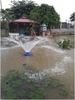 BƠM TẠO MƯA THIÊN LONG THUẦN YẾN 2Hp - 1.5KW