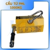 Cẩu từ PML 1000KG