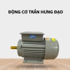 Động cơ điện 1 Pha Trần Hưng Đạo ST - S4 (2.2KW)