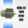 Động cơ điện 1 pha Trần Hưng Đạo ST - S4 (3.5KW)