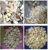 Máy bóc vỏ hành tỏi JC-002