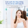 Bàn chải đánh răng điện, thương hiệu Hà Lan cao cấp Philips HX2421 - HX2431