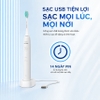 Bàn chải đánh răng điện, thương hiệu Hà Lan cao cấp Philips HX2421 - HX2431
