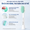 Bàn chải đánh răng điện, thương hiệu Hà Lan cao cấp Philips HX2421 - HX2431