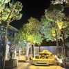 Đèn Led giả tổ chim chiếu tán cây, sân vườn ngoài trời cao cấp - DW