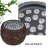 Đèn Led giả tổ chim chiếu tán cây, sân vườn ngoài trời cao cấp - DW
