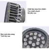 Đèn Led giả tổ chim chiếu tán cây, sân vườn ngoài trời cao cấp - DW