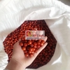 Đệm lót ghế ô tô hạt gỗ Hương Nâu, Vân 100% tự nhiên tựa lưng massage trên ô tô