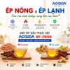Máy ép dầu thực vật dùng cho gia đình, quán ăn. Thương hiệu Aosida cao cấp WF-ZN168