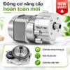 Máy ép dầu thực vật chuyên nghiệp nâng cấp hoàn toàn, dùng trong gia đình, nhà hàng, khách sạn. Thương hiệu cao cấp Septree - T3