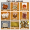Máy hút chân không chuyên nghiệp tích hợp in hạn sử dụng trực tiếp, không kén túi - Dòng công nghiệp. Thương hiệu Mỹ cao cấp Septree DZC-280T