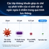 Máy khử mùi, lọc không khí dạng cốc trên xe ô tô. Thương hiệu Hà Lan cao cấp Philips - GP5602