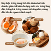 Máy luộc trứng Onsen chuyên nghiệp dùng cho nhà hàng, khách sạn. Thương hiệu Mỹ cao cấp Septree EF-01