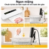 Máy nấu chậm Sous vide, dùng cho gia đình. Thương hiệu Mỹ cao cấp BioloMix SV-9002