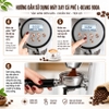 Máy xay hạt cà phê chuyên nghiệp dùng cho quán cà phê L-Beans 900A
