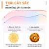 Máy sấy thực phẩm chuyên nghiệp dung tích 45 lít, 12 khay. Thương hiệu Mỹ cao cấp Septree ST-06