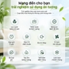 Quạt không cánh làm mát, phun sương tạo ẩm. Kiêm lọc không khí ion âm và khử khuẩn UV, Serial 4000. Thương hiệu Hà Lan cao cấp Philips - ACR4246X