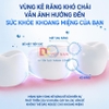 Bàn chải đánh răng điện, tích hợp 5 chế độ làm sạch Philips Sonic electric toothbrush, Series 3600. Thương hiệu Hà Lan cao cấp Philips - HX2481