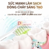 Bàn chải đánh răng điện, Serial 3600. Thương hiệu Hà Lan cao cấp Philips - HX2461