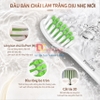 Bàn chải đánh răng điện, Serial 3600. Thương hiệu Hà Lan cao cấp Philips - HX2461