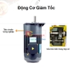 Máy ép dầu thực vật công nghiệp, dùng trong gia đình, nhà hàng, khách sạn. Thương hiệu cao cấp Septree - S10