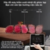 Máy nấu chậm Sous vide chuyên nghiệp, dùng cho nhà hàng và khách sạn - Dòng cao cấp. Thương hiệu Mỹ cao cấp AnchorChef  - PRO1600S