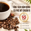 Máy pha cà phê Drip nhỏ giọt, thuộc dòng Daily Collection. Thương hiệu Hà Lan cao cấp Philips - HD7432