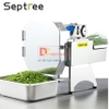 Máy thái rau củ, quả đa năng chuyên nghiệp - Dòng công nghiệp. Thương hiệu Mỹ cao cấp Septree - F46