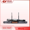 MICRO DB 450II