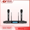 MICRO FELIX FM4