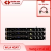 VANG PS RX300