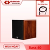 SUB ĐIỆN PS SA1500PRO